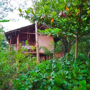 Akash Treehouse , Sigiriya Sri Lanka